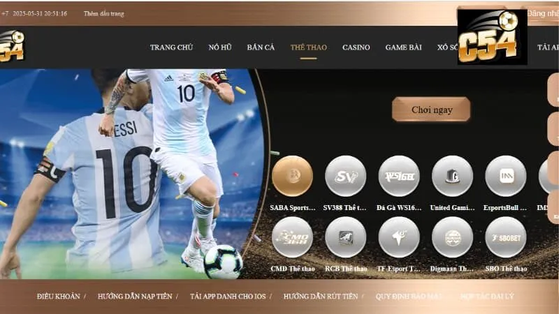 Các nội dung chính trong điều khoản điều kiện C54