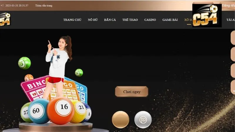 Thông tin trong điều khoản điều kiện C54